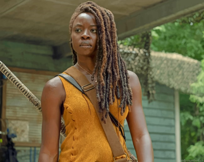 Michonne From The Walkinng Dead Painting By Numbers.png