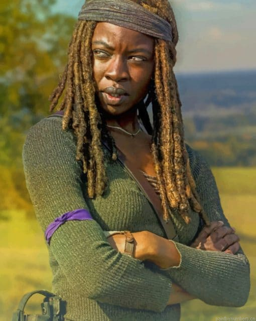 Michonne The Walkinng Dead Painting By Numbers.png