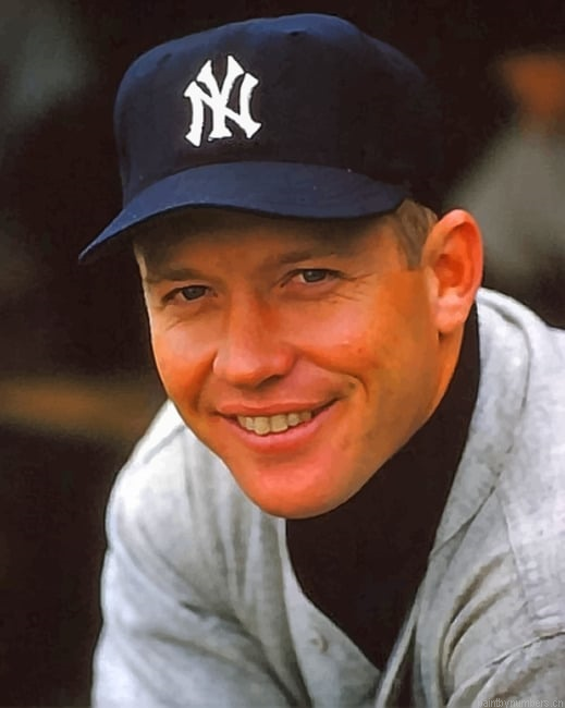 Mickey Mantle Player Painting By Numberss.png