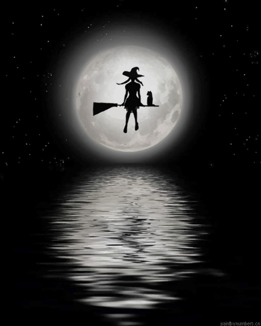 Midnight Witch Painting By Numbers.png