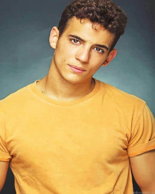 Miguel Herran Actors Painting By Numberss.png