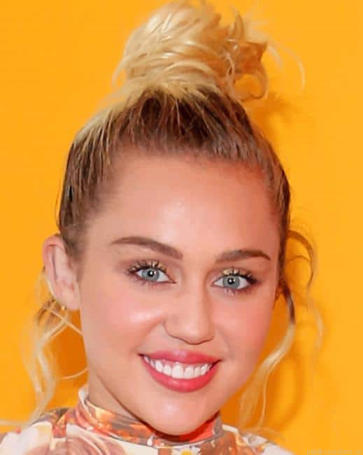 Miley Cyrus Singers Painting By Numberss.png