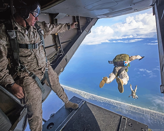 Military Man Sky Diving Painting By Numberss.png