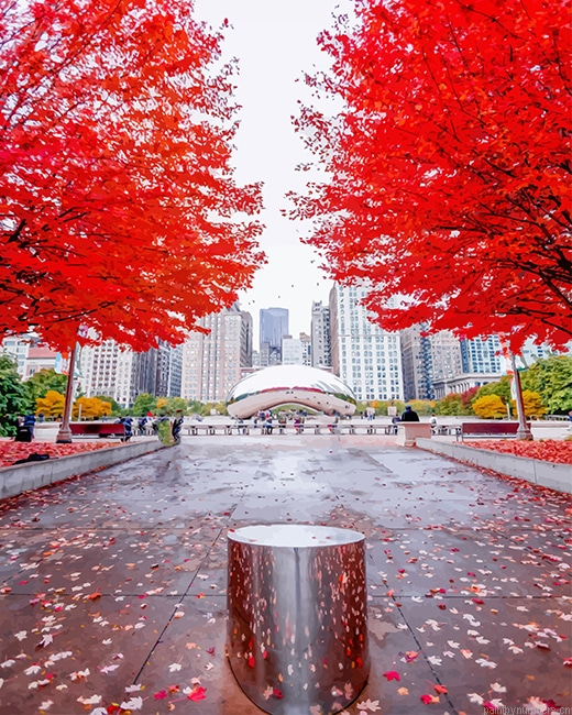 Millennium Park Chicago Painting By Numberss.png