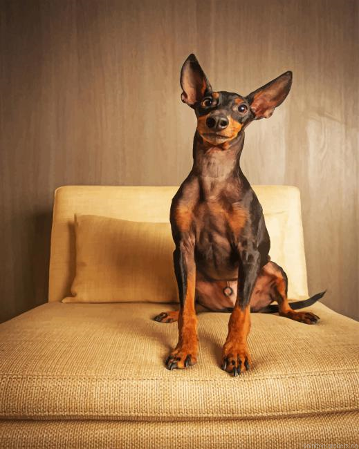 Mini Doberman Animals Painting By Numberss.png