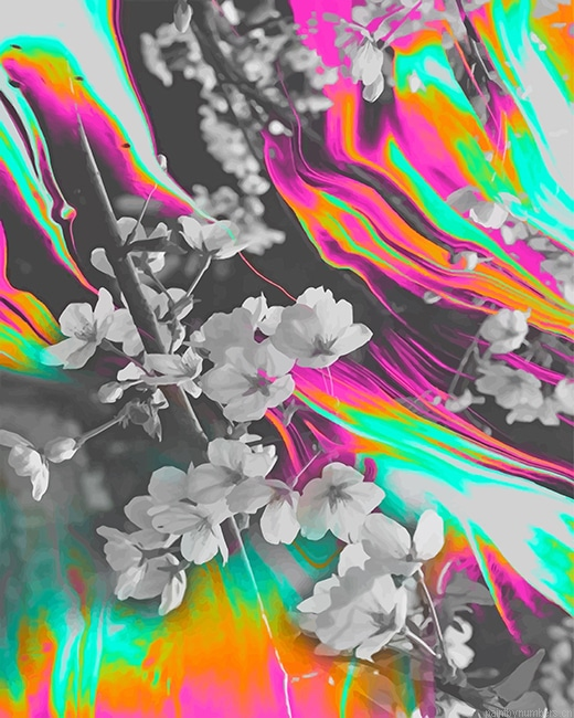 Mixed Colors With Flowers Painting By Numberss.png