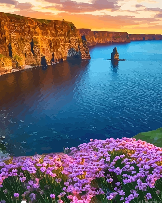 Moher Cliffs Ireland Seascapes Painting By Numberss.png