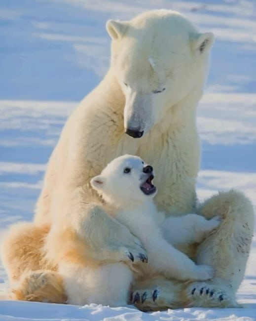 Mom And Baby Polar Bear Painting By Numberss.png