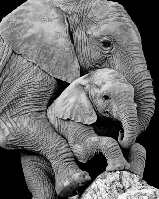 Mom Elephant And Cub Painting By Numberss.png