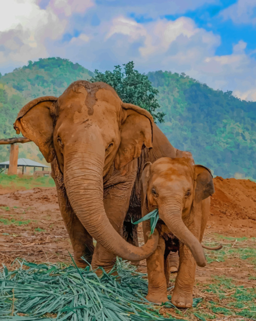 Mommy And Baby Elephant Animals Painting By Numberss.png