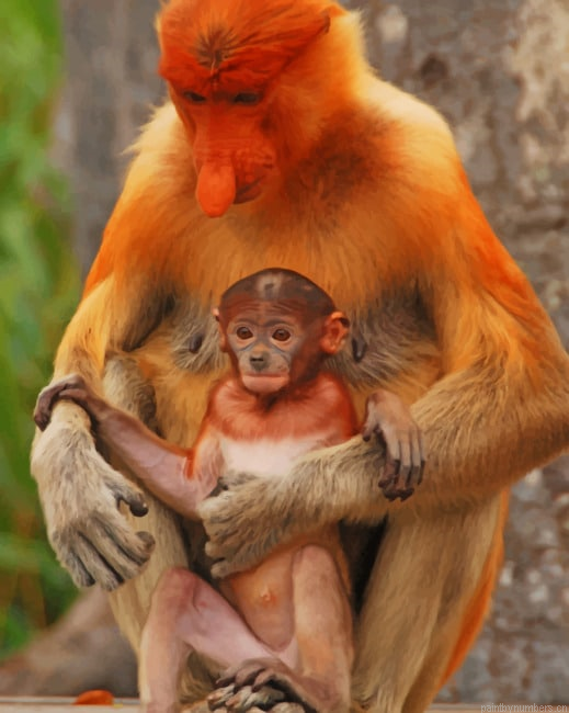 Mommy And Baby Proboscis Monkey Animals Painting By Numberss.png