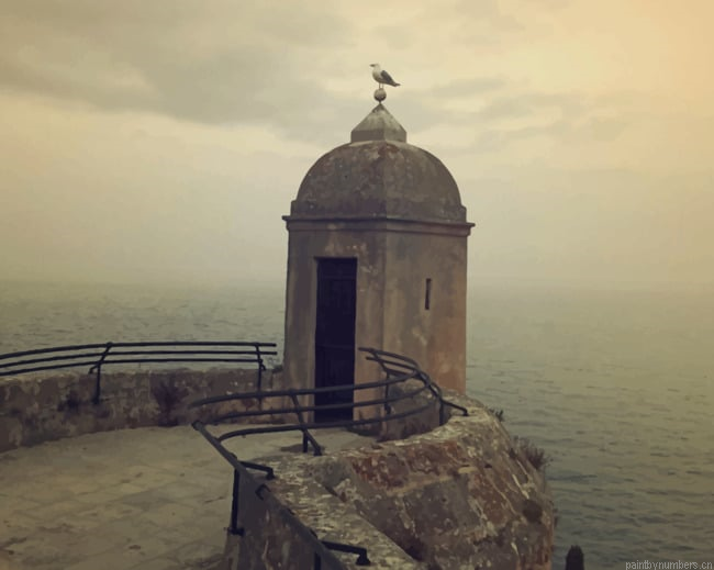 Monacos Seagull Shore Tower New Painting By Numberss.png