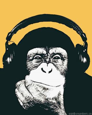 Monkey Headphones Illustration Painting By Numbers.png