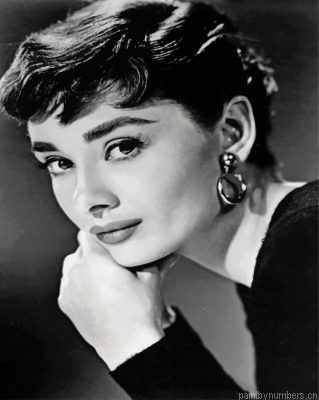Monochrome Audrey Hepburn Painting By Numbers.png