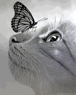 Monochrome Cat And Butterfly Painting By Numbers.png