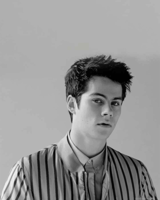 Monochrome Dylan O Brien Painting By Numbers.png