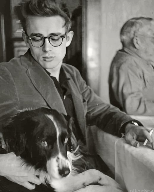 Monochrome James Dean Painting By Numbers.png