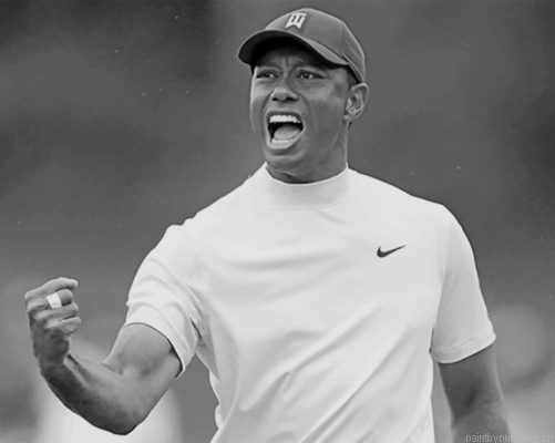 Monochrome Tiger Woods Painting By Numbers.png