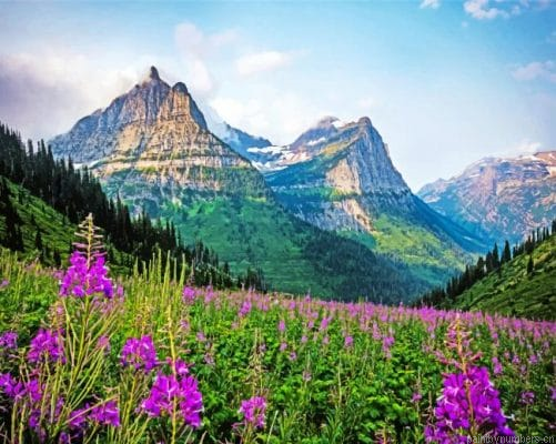 Montana Glacier National Park Painting By Numbers.png