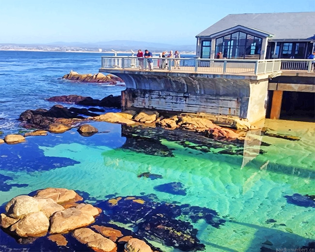 Monterey Bay Aquarium Painting By Numberss.png
