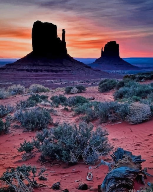 Monument Valley Desert Arizona Painting By Numbers.png