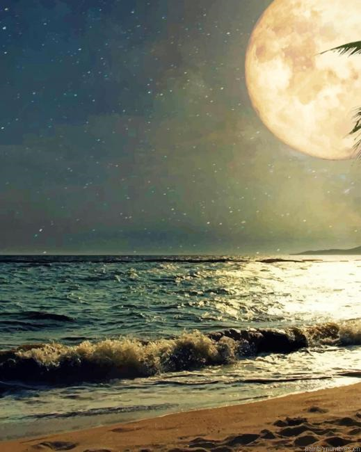 Moon At The Beach Landscapes Painting By Numberss.png
