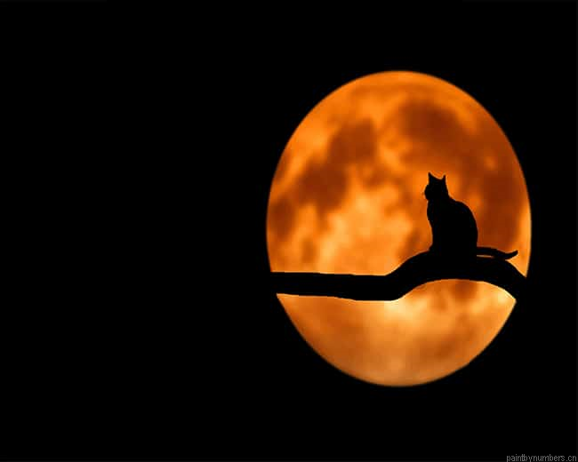 Moon Cat Silhouette Painting By Numberss.png