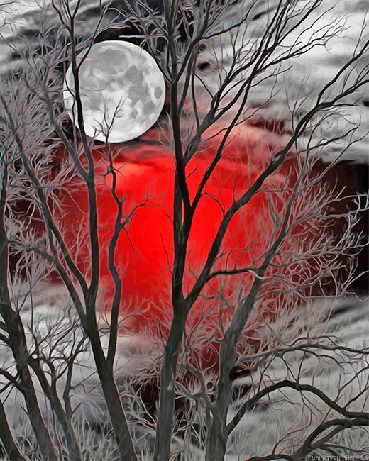 Moon Light Forest Landscapes Painting By Numbers.png