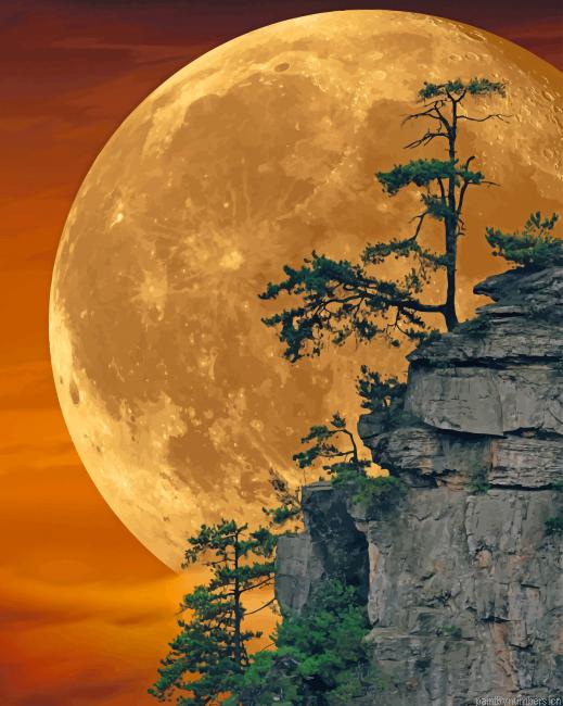 Moon Light Landscapes Painting By Numbers.png