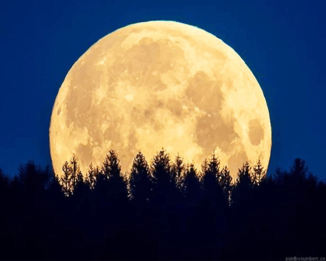 Moon Night Trees Silhouette Painting By Numbers.png