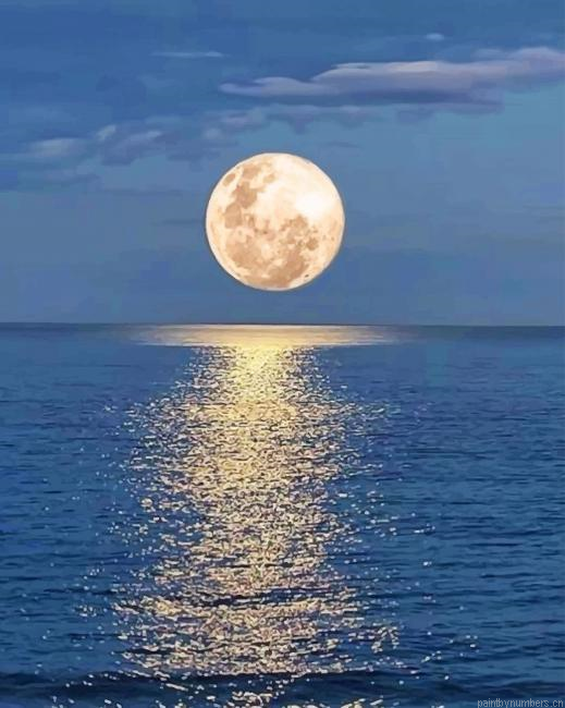 Moonlight Beach Landscapes Painting By Numberss.png