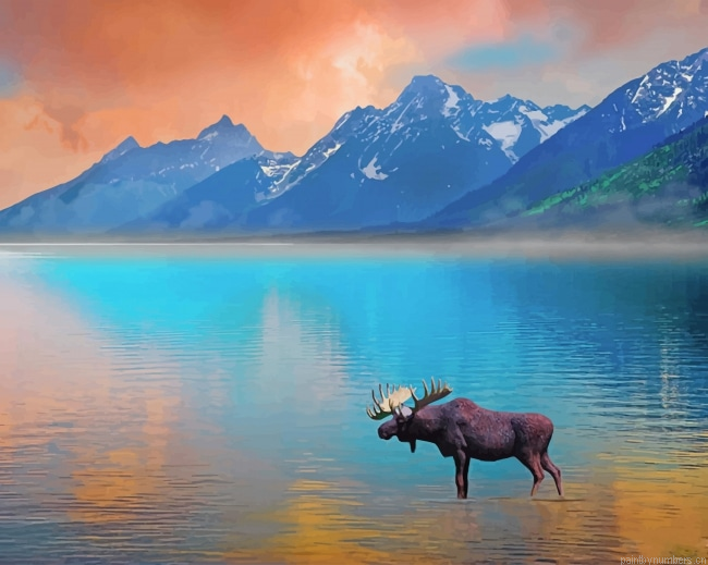 Moose In Lake Animals Painting By Numberss.png