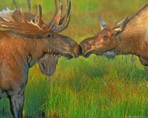 Moose In The River Painting By Numbers.png