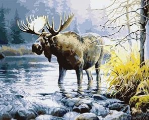 Moose In River Painting By Numbers.png