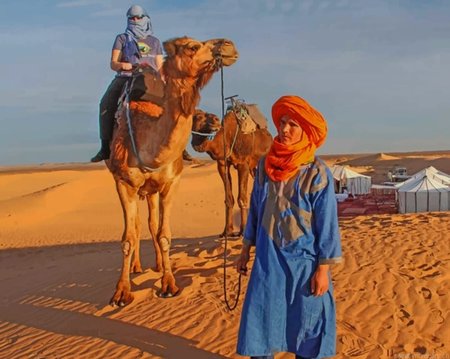 Moroccan Camel Tour Deserts Painting By Numberss.png