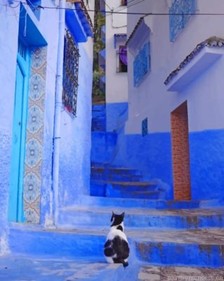 Moroccan Cat Painting By Numbers.png
