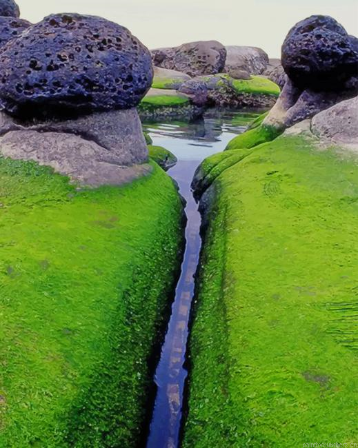Mossy Inlet Iceland New Painting By Numberss.png