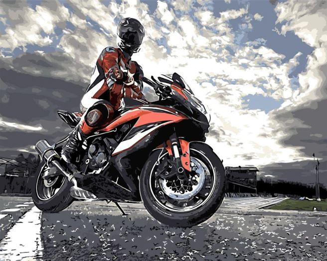 Motorcycle Driver Painting By Numbers.png
