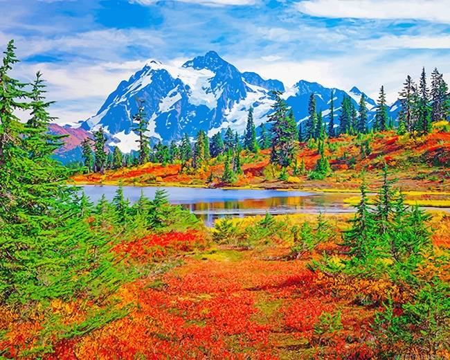 Mount Baker Washington Landscapes Painting By Numberss.png