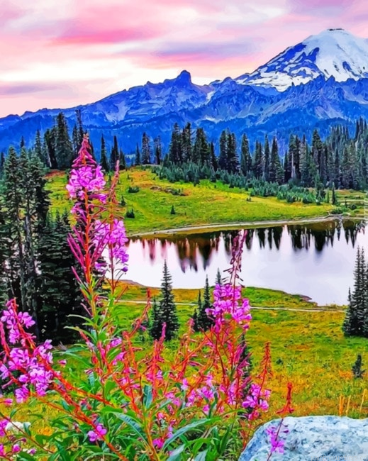 Mount Rainier National Park Painting By Numbers.png