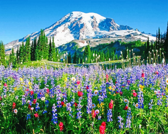 Mount Rainier Painting By Numbers.png