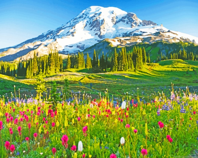 Mount Rainier Paradise Painting By Numbers.png