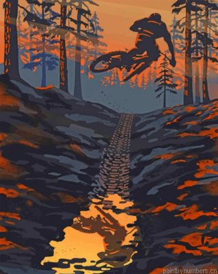 Mountain Bike Illustration Painting By Numbers.png