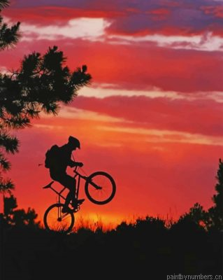 Mountain Bike Silhouette Painting By Numbers.png