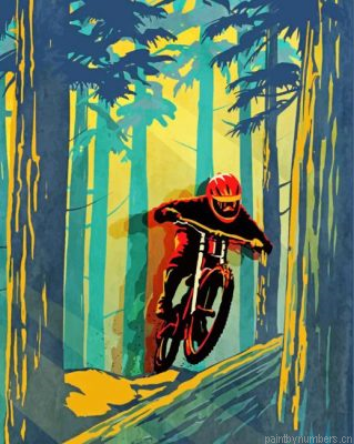 Mountain Biker Illustration Painting By Numbers.png