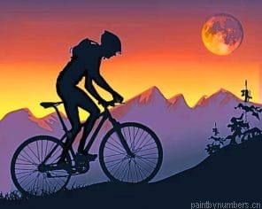 Mountain Biker On Step Hills At Sunset Silhouette Painting By Numbers.png