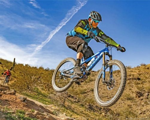 Mountain Biker Painting By Numbers.png