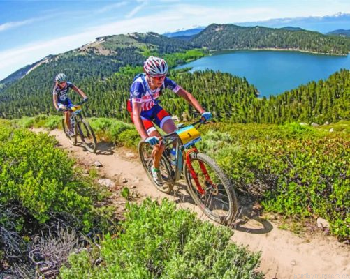 Mountain Bikers Painting By Numbers.png