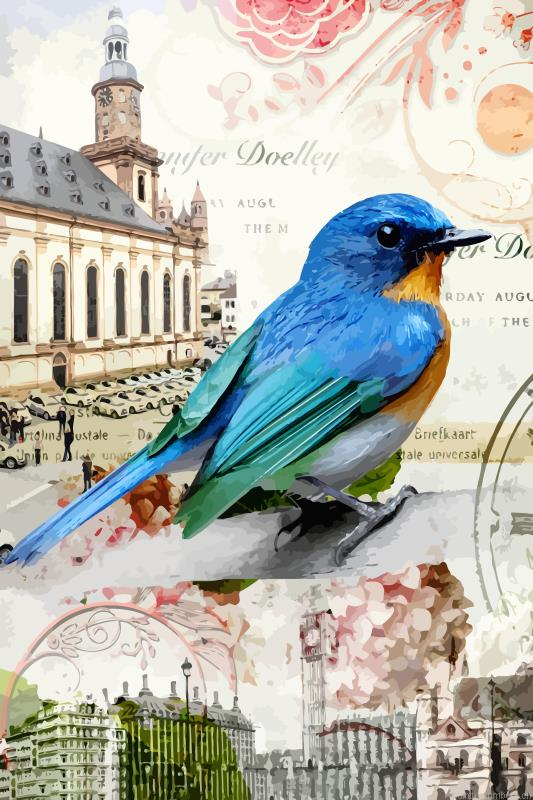 Mountain Bluebird Painting By Numberss.png