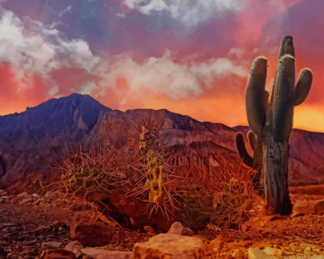 Mountain Cactus Landscapes Painting By Numberss.png